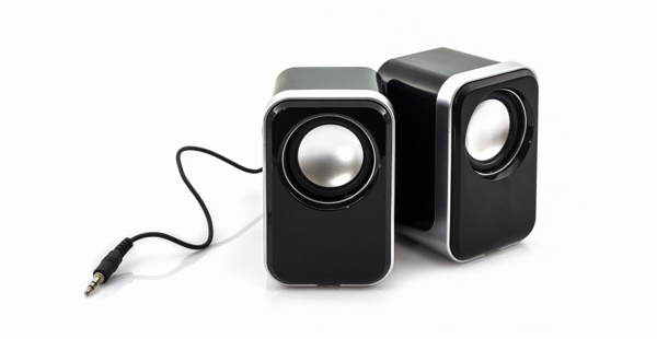 Speaker