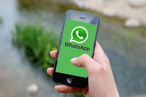 Link Download FM WA Versi Terbaru